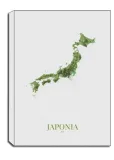 japonia-mapa-obraz-na-plotnie-50x70-cm