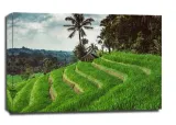 jatiluwih-obraz-na-plotnie-60x40-cm