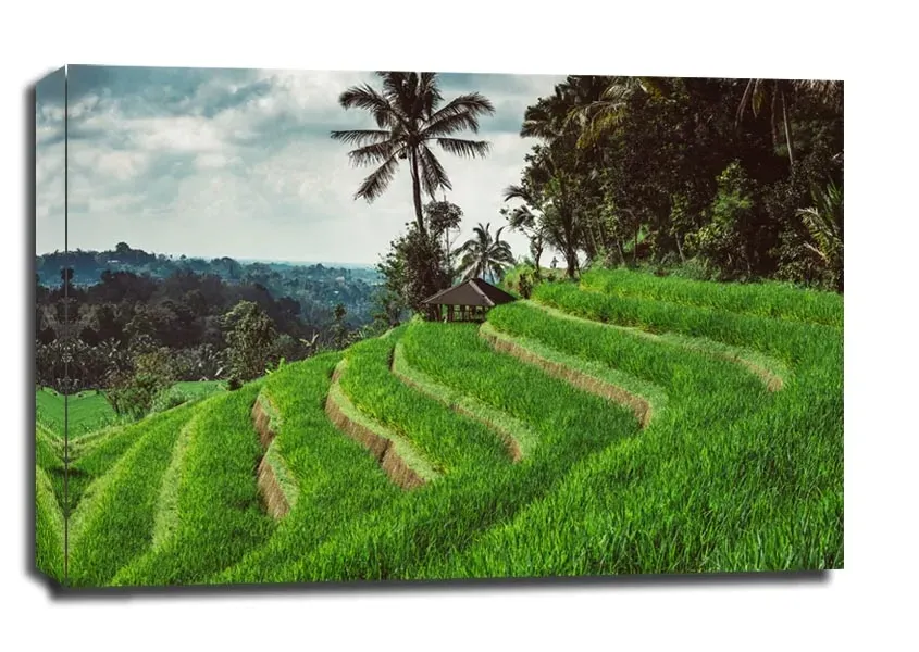 jatiluwih-obraz-na-plotnie-60x40-cm-stan-nowy