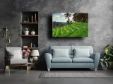 jatiluwih-obraz-na-plotnie-60x40-cm-stan-nowy