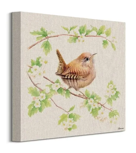 jenny-wren-obraz-na-plotnie-30x30-cm
