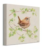 jenny-wren-obraz-na-plotnie-30x30-cm