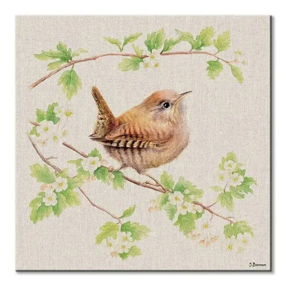 jenny-wren-obraz-na-plotnie-30x30-cm-stan-nowy