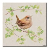 jenny-wren-obraz-na-plotnie-30x30-cm-stan-nowy