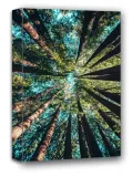 korony-drzew-obraz-na-plotnie-40x60-cm