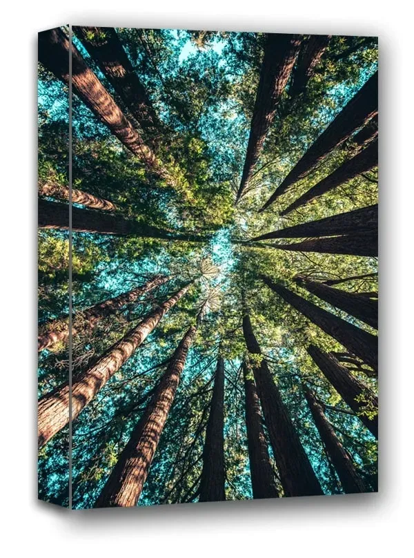 korony-drzew-obraz-na-plotnie-40x60-cm