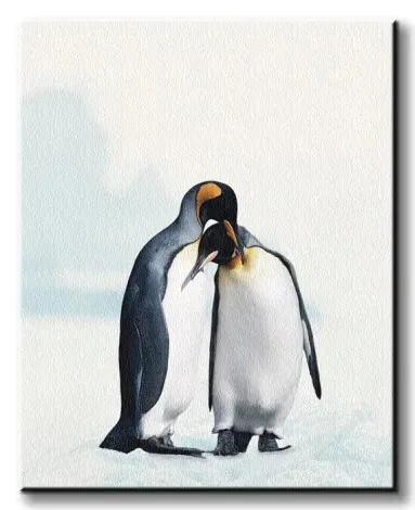 king-penguin-pingwiny-obraz-na-plotnie-40x50-cm
