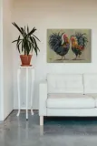 koguty-obraz-na-plotnie-80x60-cm-stan-nowy