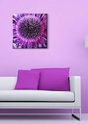 kwiat-obraz-na-plotnie-40x40-cm-stan-nowy