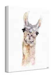 lama-obraz-na-plotnie-40x50-cm