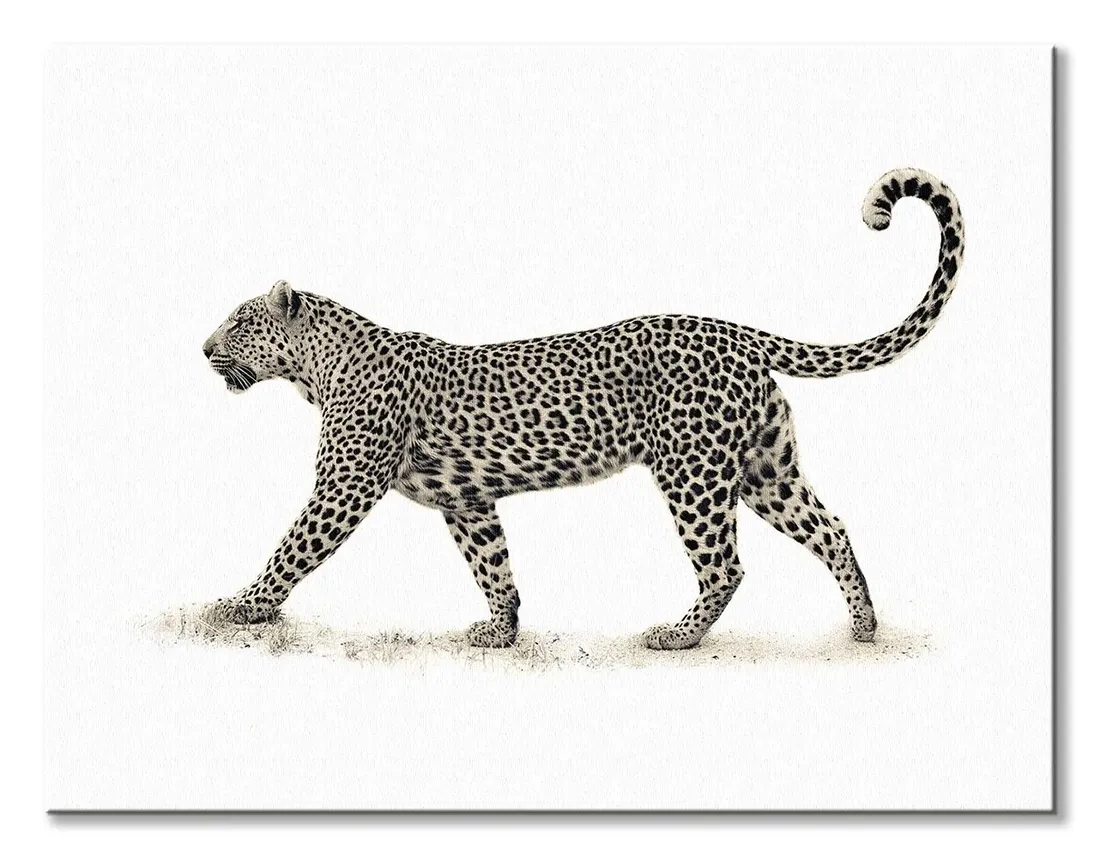 lampart-obraz-na-plotnie-80x60-cm