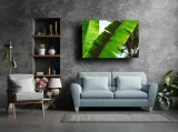 leaf-obraz-na-plotnie-100x70-cm-stan-nowy