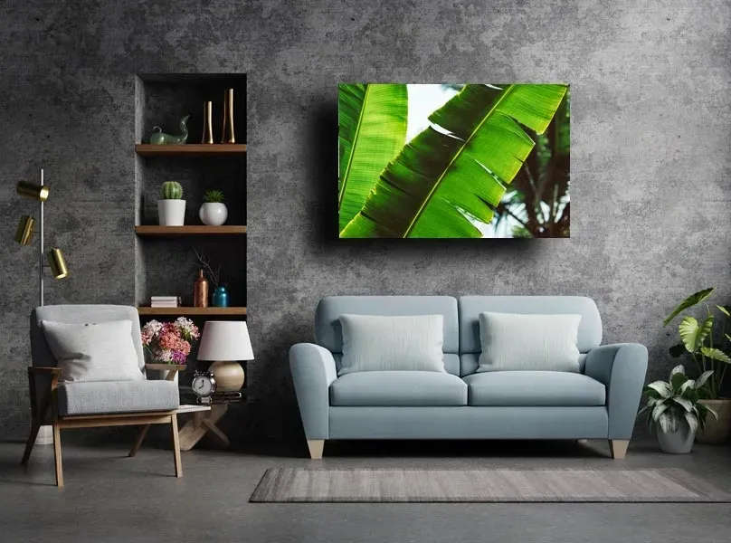 leaf-obraz-na-plotnie-100x70-cm