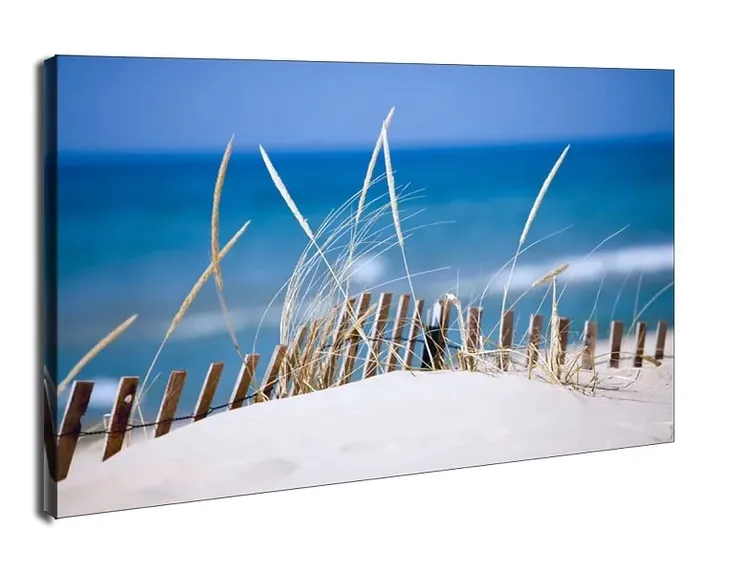 lake-sand-dunes-obraz-na-plotnie-50x40-cm