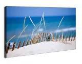 lake-sand-dunes-obraz-na-plotnie-50x40-cm