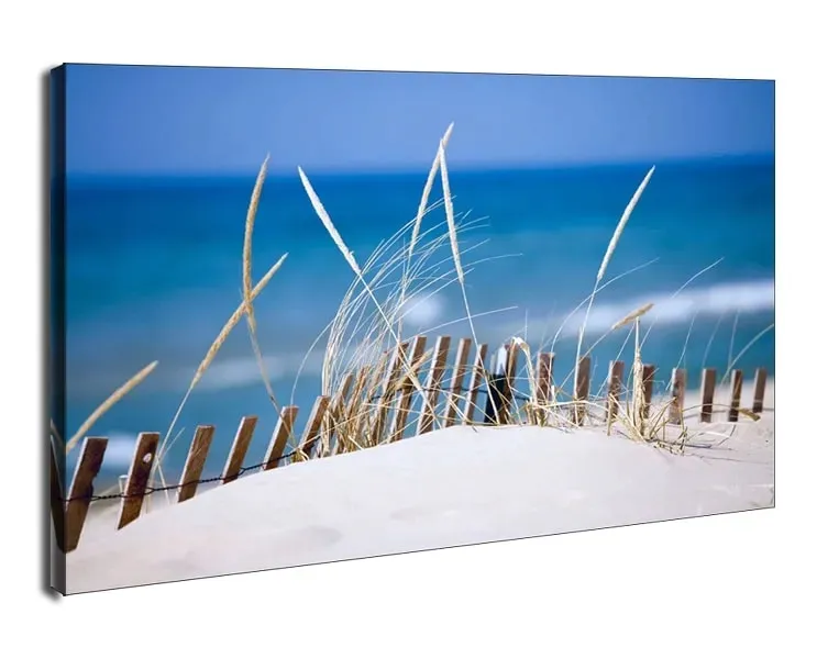 lake-sand-dunes-obraz-na-plotnie-50x40-cm