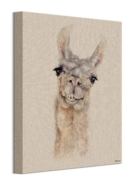 lama-obraz-na-plotnie-30x40-cm