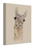 lama-obraz-na-plotnie-30x40-cm