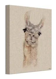 lama-obraz-na-plotnie-30x40-cm