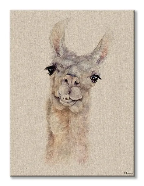 lama-obraz-na-plotnie-30x40-cm-stan-nowy