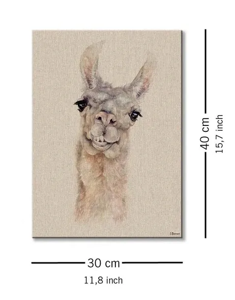 lama-obraz-na-plotnie-30x40-cm-stan-nowy