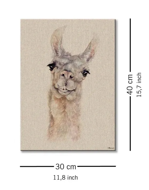 lama-obraz-na-plotnie-30x40-cm-stan-nowy