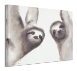 leniwce-obraz-na-plotnie-50x40-cm