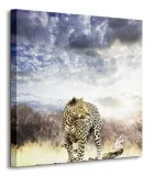 leopard-obraz-na-plotnie-40x40-cm