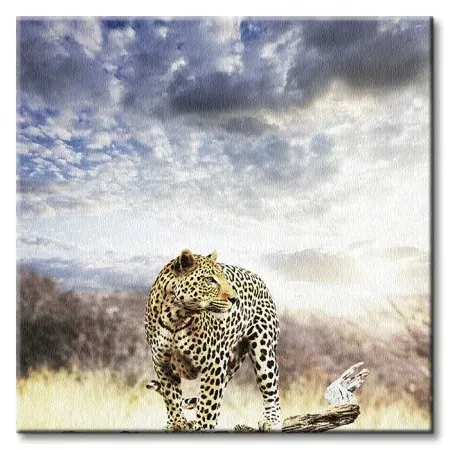 leopard-obraz-na-plotnie-40x40-cm