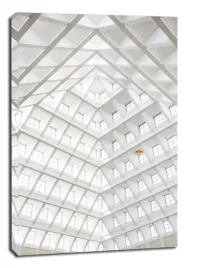 linie-obraz-na-plotnie-40x60-cm