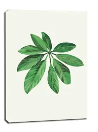lisc-vii-obraz-na-plotnie-61x915-cm