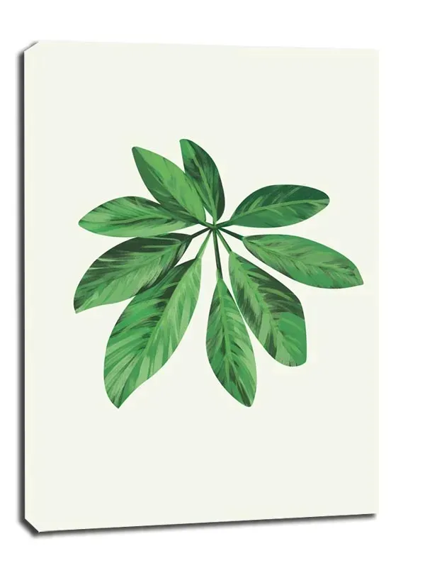 lisc-vii-obraz-na-plotnie-61x915-cm-stan-nowy