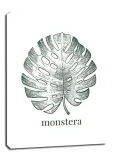 lisc-viii-monstera-obraz-na-plotnie-40x60-cm