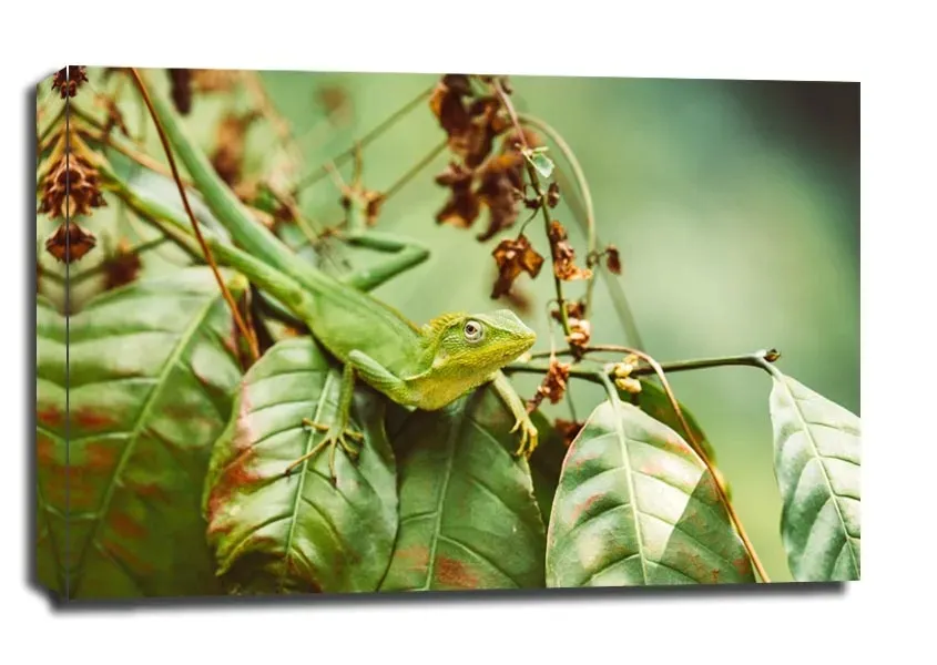 lizzard-obraz-na-plotnie-40x30-cm