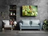 lizzard-obraz-na-plotnie-60x40-cm-stan-nowy