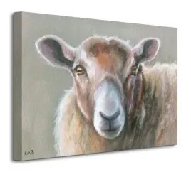 looking-sheepish-obraz-na-plotnie-50x40-cm