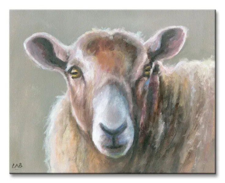 looking-sheepish-obraz-na-plotnie-50x40-cm