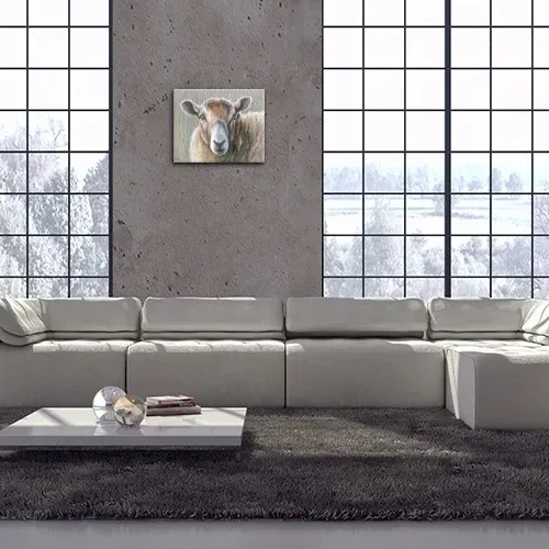 looking-sheepish-obraz-na-plotnie-50x40-cm-stan-nowy