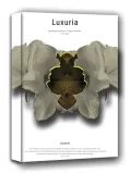 luxuria-obraz-na-plotnie-20x30-cm