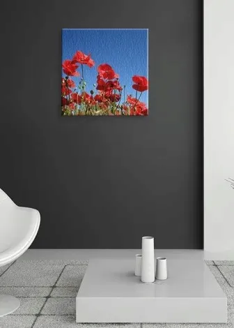 maki-obraz-na-plotnie-40x40-cm-stan-nowy