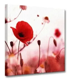 maki-w-czerwieni-obraz-na-plotnie-40x40-cm