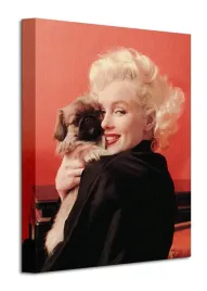 marilyn-monroe-love-obraz-na-plotnie-30x40-cm
