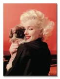 marilyn-monroe-love-obraz-na-plotnie-30x40-cm-stan-nowy