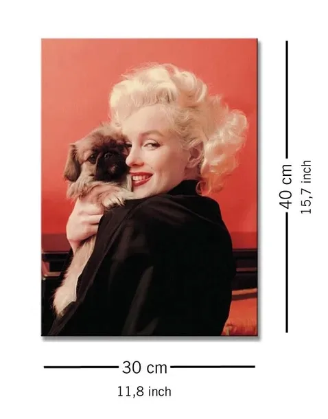 marilyn-monroe-love-obraz-na-plotnie-30x40-cm-stan-nowy