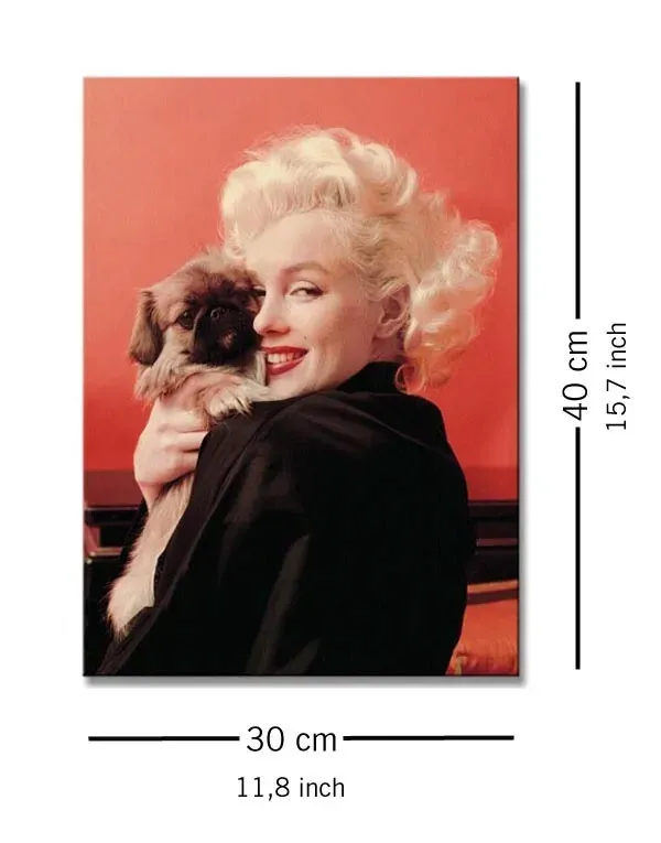 marilyn-monroe-love-obraz-na-plotnie-30x40-cm
