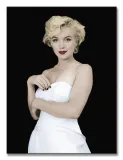 marilyn-monroe-pose-obraz-na-plotnie-30x40-cm-stan-nowy