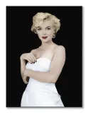 marilyn-monroe-pose-obraz-na-plotnie-60x80-cm-stan-nowy