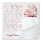 marilyn-monroe-nothing-lasts-forever-obraz-na-plotnie-85x85-cm-stan-nowy
