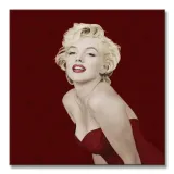 marilyn-monroe-star-obraz-na-plotnie-40x40-cm-stan-nowy