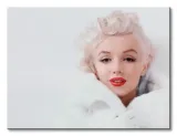 marilyn-monroe-white-obraz-na-plotnie-40x30-cm-stan-nowy